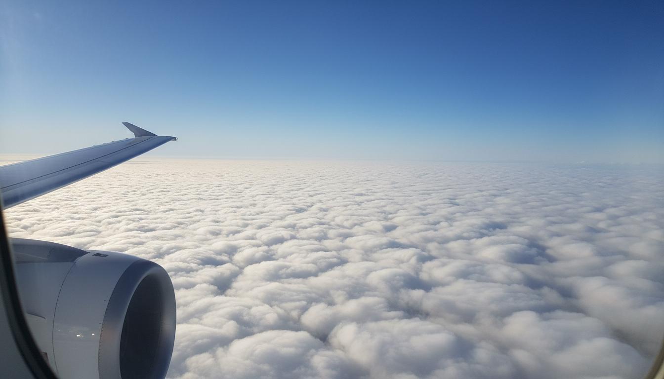 Aerial view of a flight